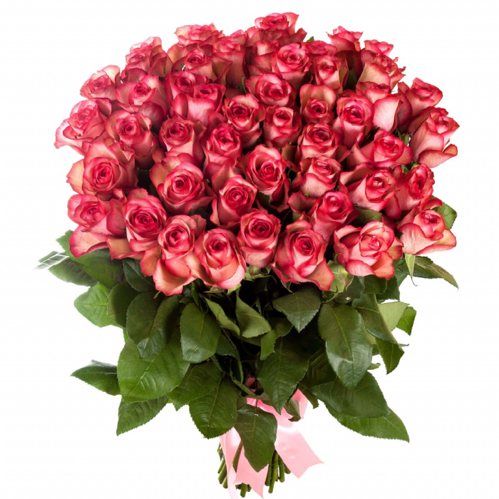 Kenya Red Roses Bouquet of 51