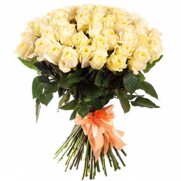 Bouquet of 55 Beautiful White Roses